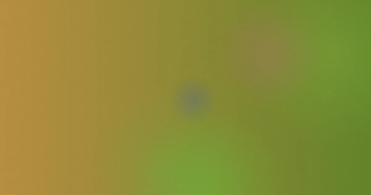 神马不卡是什么？一篇讲明白